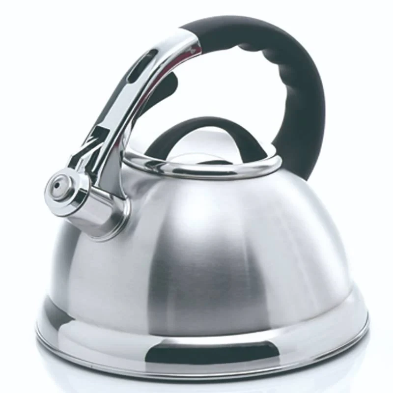 Whistling Tea Kettle Stainless Steel