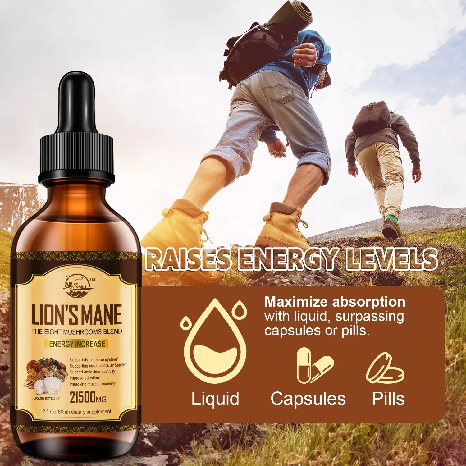 60ml Lions Mane, Chaga Mushroom Complex Reishi Extract Liquid Herbal Drops