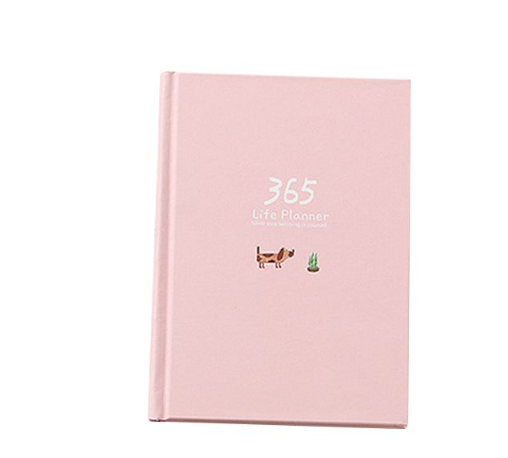 Schedule This Hardback Color Set Inside Notebook