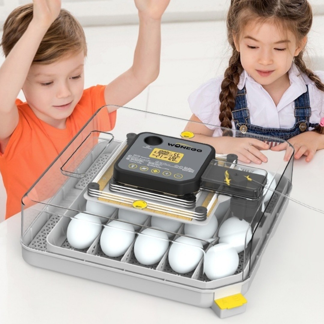 48 Pieces Egg Incubator Automatic Humidity Control Temperature Control Household Incubator