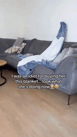 Shark Nap Hoodie (Free Shipping)