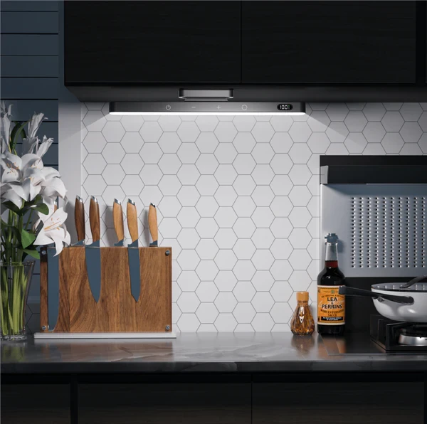 Rafya Pro - Remote/Touch Control