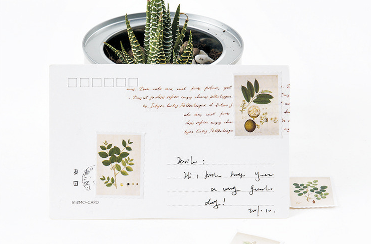 45 Piece Vintage Plant Sticker Set