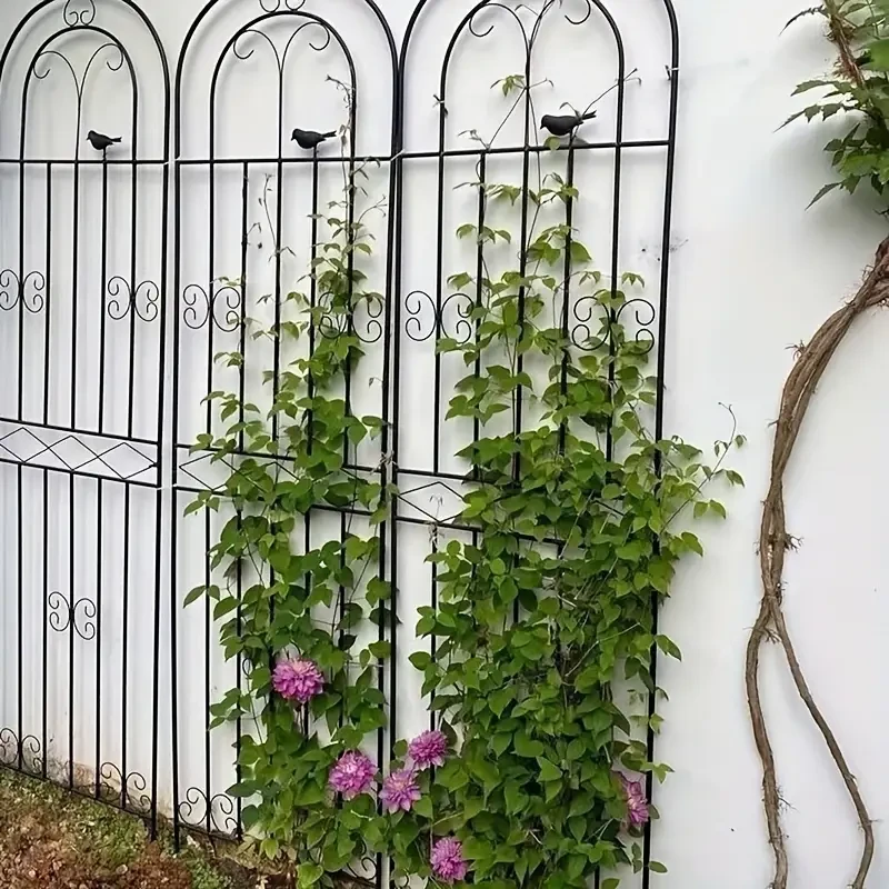 Metal Trellises For Sale