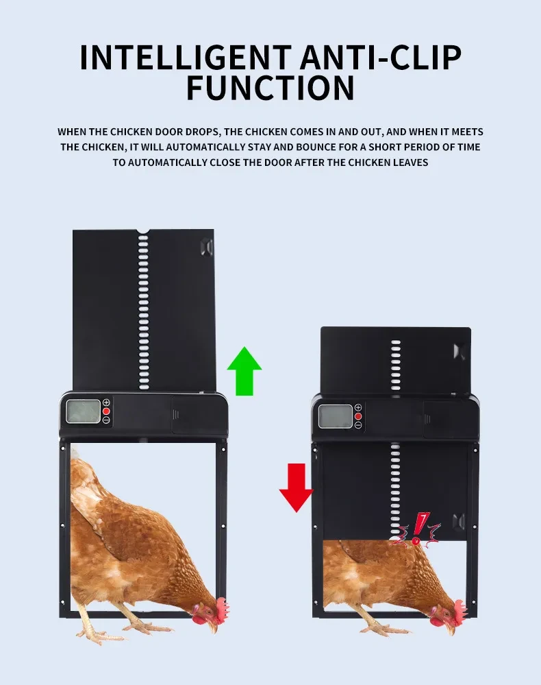 Automatic Chicken Door