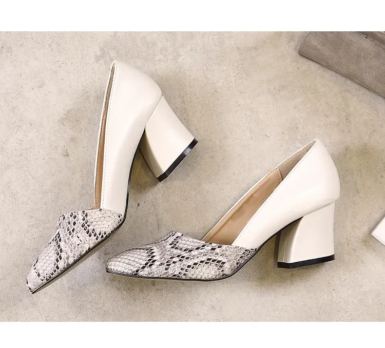 Snakeskin Shoes Womens