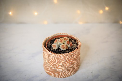 Lithops Cluster
