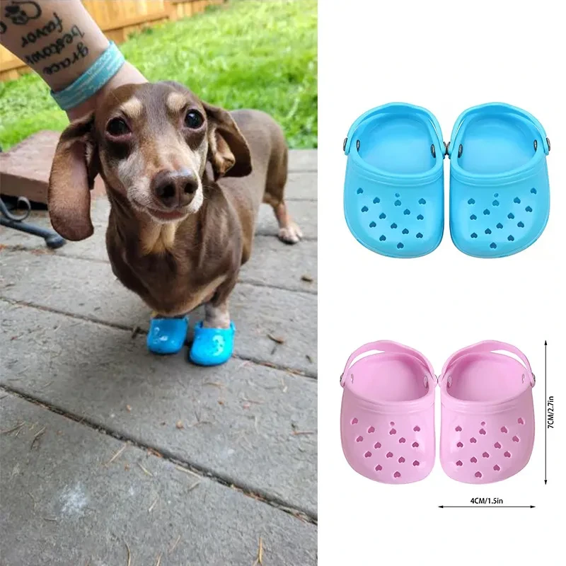 Dog Crocs