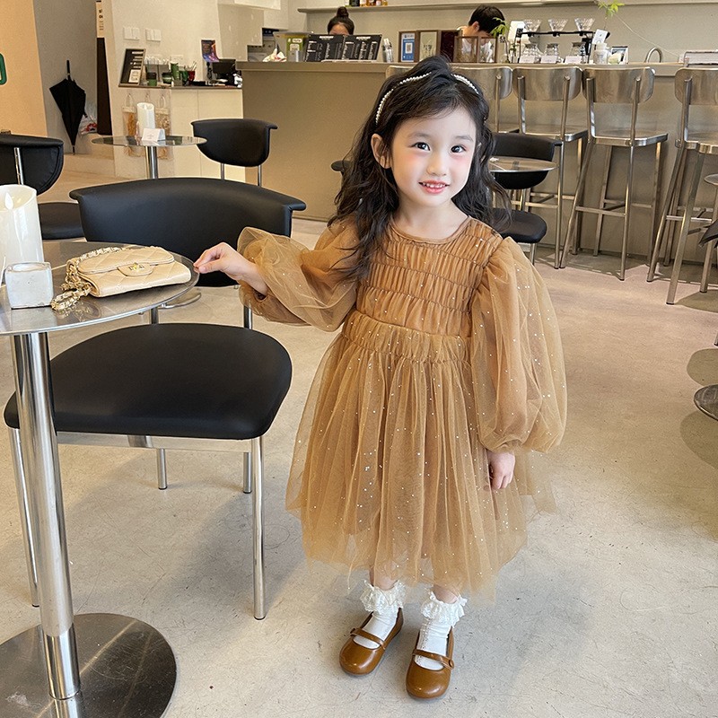 Little Girl Fashionable Stylish Mesh Dress