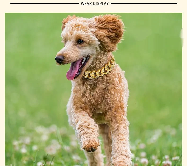 Diamond Cuban Link Dog Collar