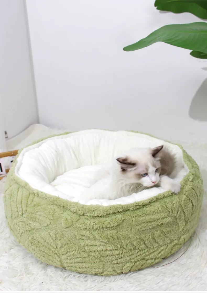 Cat Beds