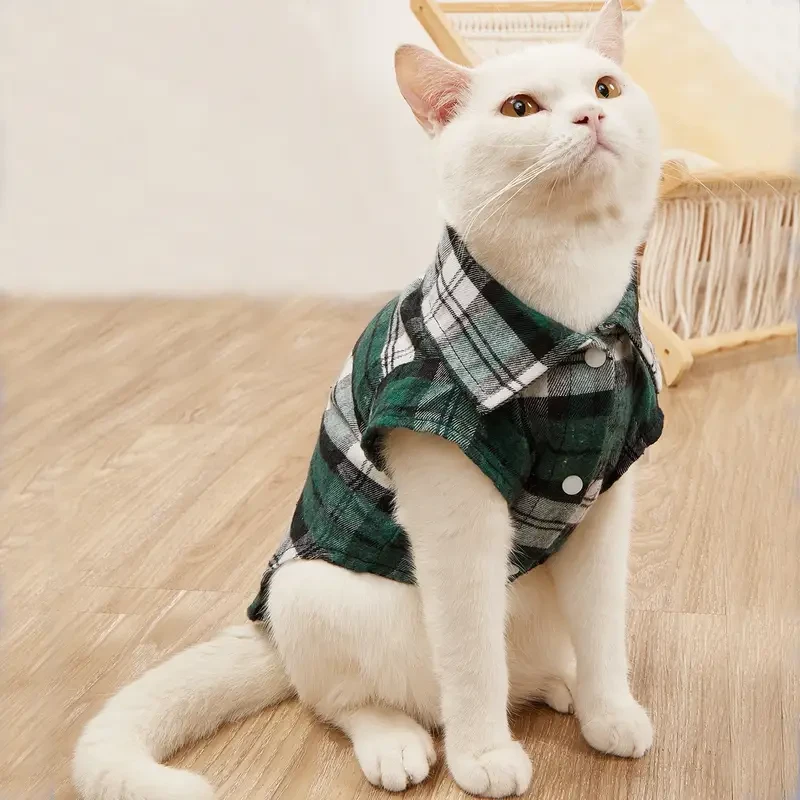 Kitty Clothes for Cats