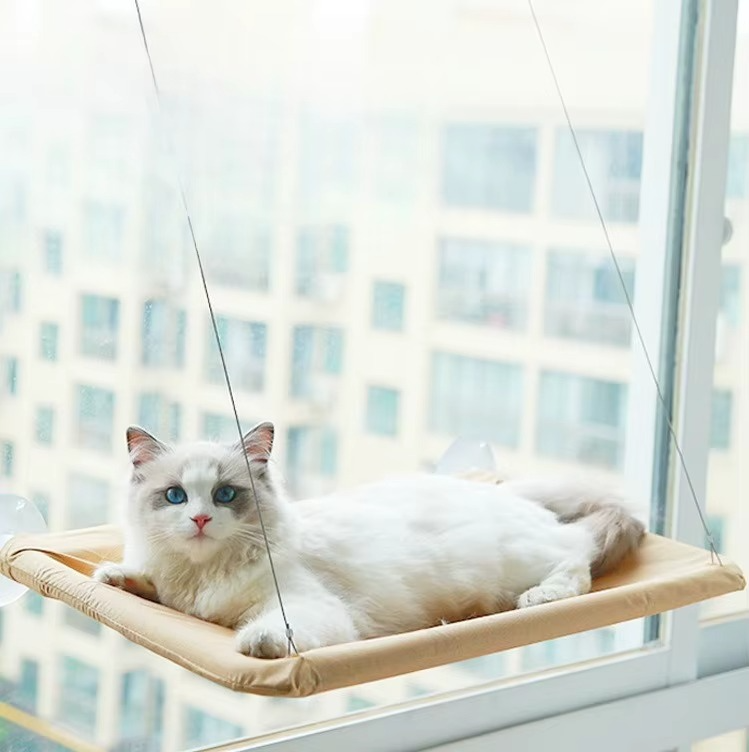 Cat window perch, cat window hammock, cat window ledge, cat window bed, cat window seat, cat window shelf, cat hammock