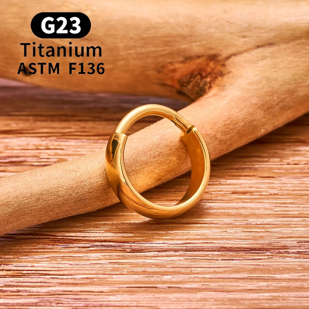 ASTM F136 G23 Titanium Piercing Round Earring Hoops
