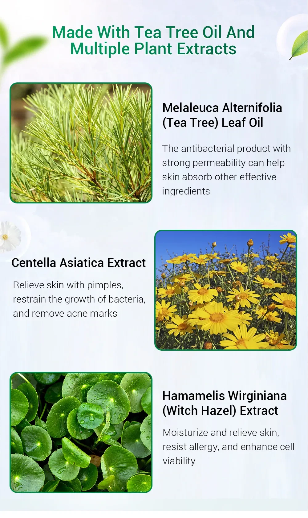 BREYLEE Tea Tree Acne Cream Moisturizing Acne Scars Scar Cream