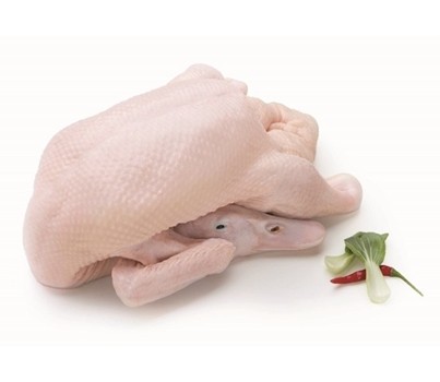 DUCK WHOLE SIZE 21 (D21) (PER EACH) [FZN]