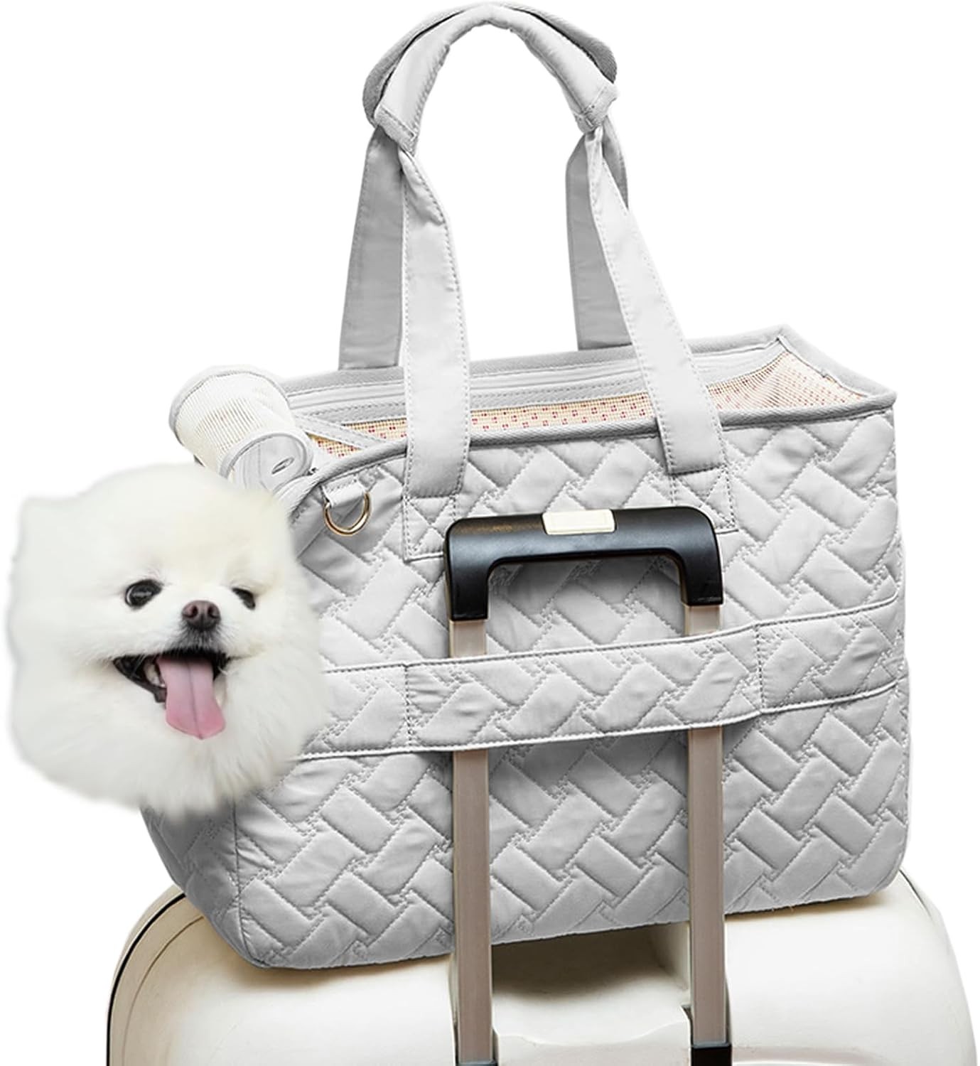 Dog Purse