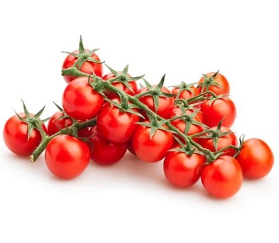 TOMATO TRUSS/VINE SMALL (PER PKT)