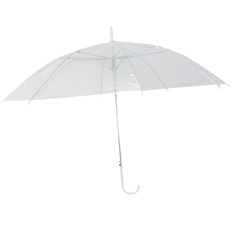 Clear Dome Umbrella