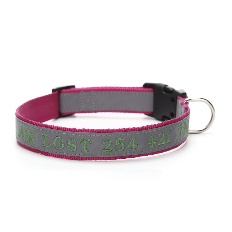 Dog Collar with Phone Number