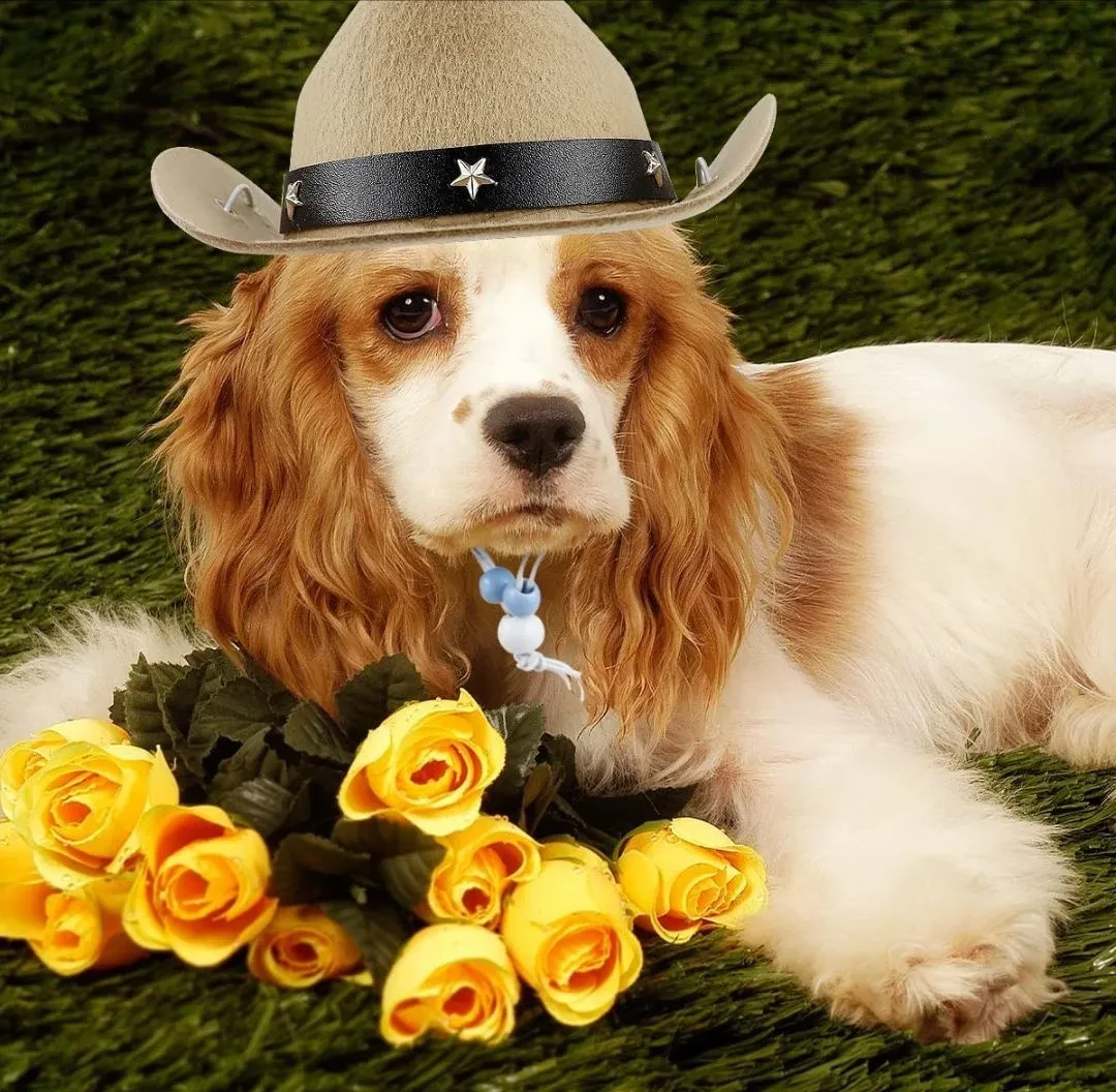 Dog Western Denim Mini Toy Hat