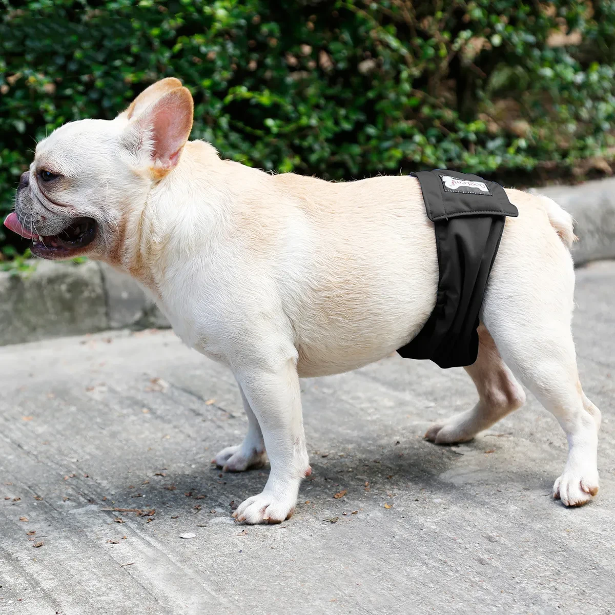 Male Dog Restraint Courtesy Belt Pet Supplie Washable Sanitary Diapers