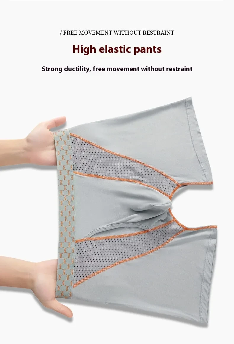 Men's Boxers Transparent Mesh Shorts