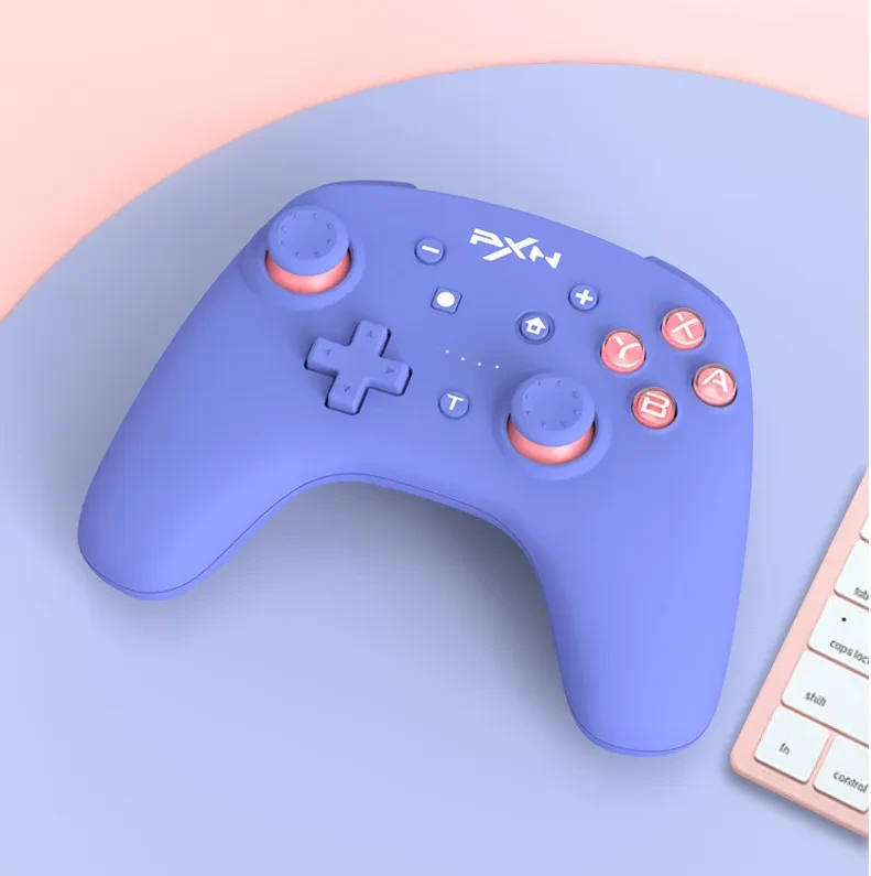 Nintendo Switch Controller
