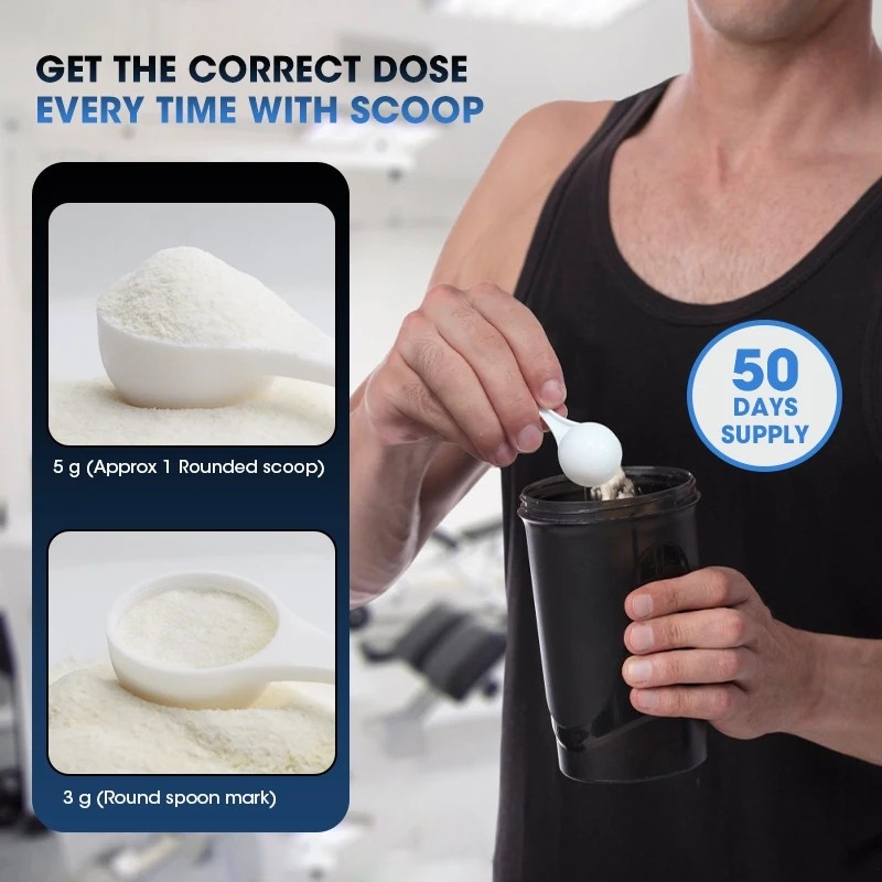 Kexinsh Creatine Monohydrate Powder  Post Workout Recovery Drink